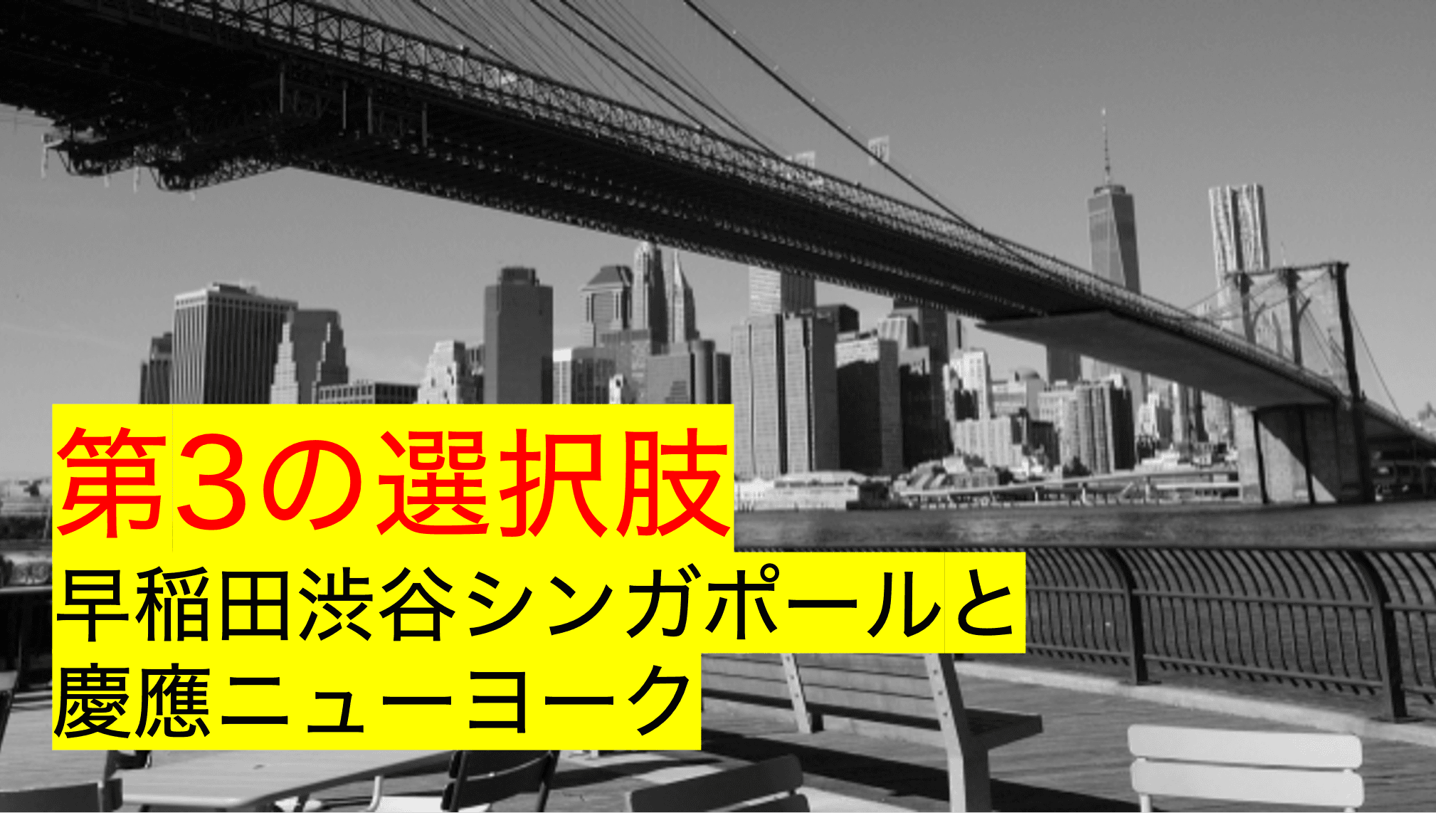 二代目のバカは海外へ行くべし⁉︎〜慶應ニューヨーク・早稲田渋谷シンガポール完全ガイド〜